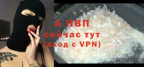 ГАЛЛЮЦИНОГЕННЫЕ ГРИБЫ Михайлов