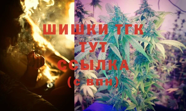 ГАЛЛЮЦИНОГЕННЫЕ ГРИБЫ Михайлов