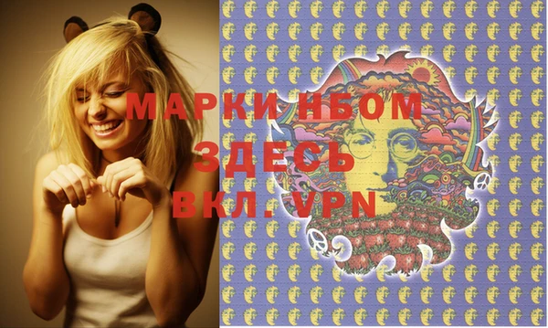ГАЛЛЮЦИНОГЕННЫЕ ГРИБЫ Михайлов