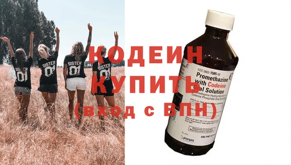 ГАЛЛЮЦИНОГЕННЫЕ ГРИБЫ Михайлов