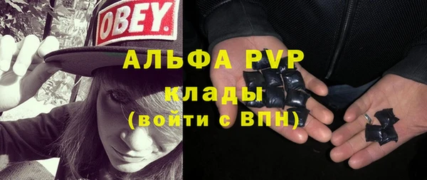 ГАЛЛЮЦИНОГЕННЫЕ ГРИБЫ Михайлов